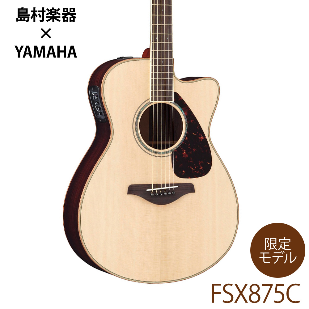 アコースティックギターFSX875C