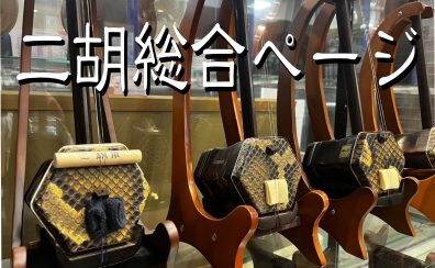 二胡の事ならイオンモール岡崎店へ