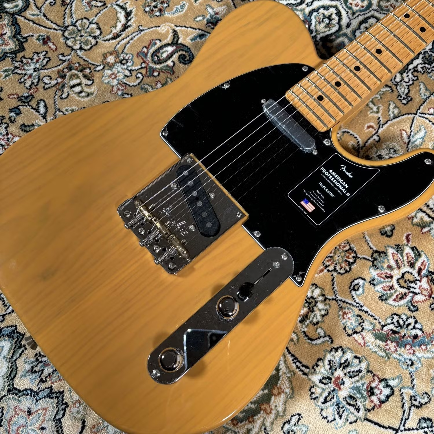 FenderFender American Professional II Telecaster
