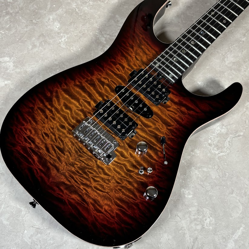 エレキギターDST-24 Ash/Ebony