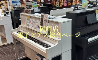 【電子ピアノ選びはお任せください♪】岡崎・安城・豊田・豊橋・西尾・蒲郡・刈谷・西三河・東三河で選ぶなら安心＆丁寧なサポートの岡崎店へ！