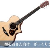 【アコギ】エレアコって何？初心者さん向けざっくりまとめ！