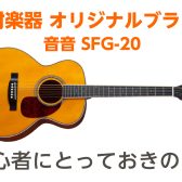 【初めてのアコギならこれ】初心者に優しい SFG-20