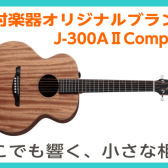 【アコギ】20代女子が選ぶ！オススメアコギVol.3　James/J-300AⅡcompact