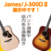 【アコギ】20代女子が選ぶ！オススメアコギVol.2　James/J-300DⅡ