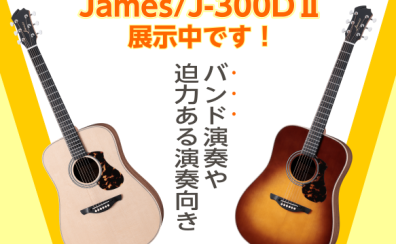【アコギ】20代女子が選ぶ！オススメアコギVol.2　James/J-300DⅡ
