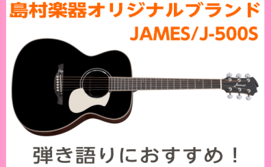 【アコギ】20代女子が選ぶ！オススメアコギVol.5　James/J-500S