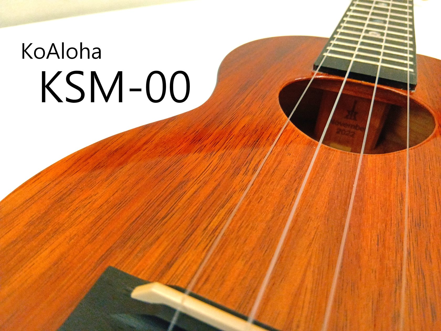 今回は、コアロハのソプラノウクレレ『KSM-00』をご紹介します。 1995年創業のハワイの代表的なブランド「コアロハ」。 比較的新しいブランドですが、多くのウクレレプレイヤーに愛用されています。 ボディにハワイアンコア、ネックと指板にはマホガニーを使用。クラウンヘッドとおむすび型のサウンドホールが […]