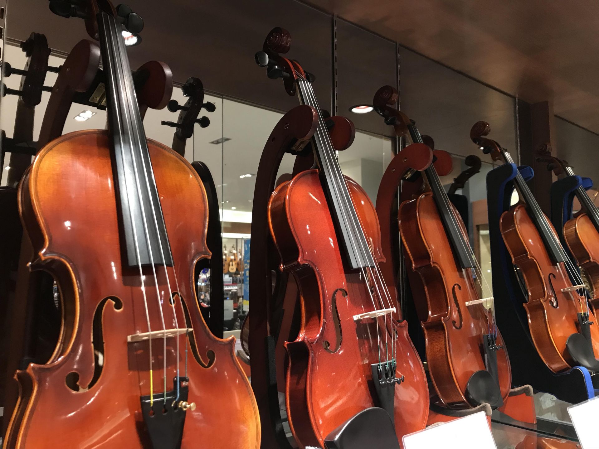 弦楽器 バイオリンコーナー 展示ラインナップのご紹介 イオンモール大高店 店舗情報 島村楽器