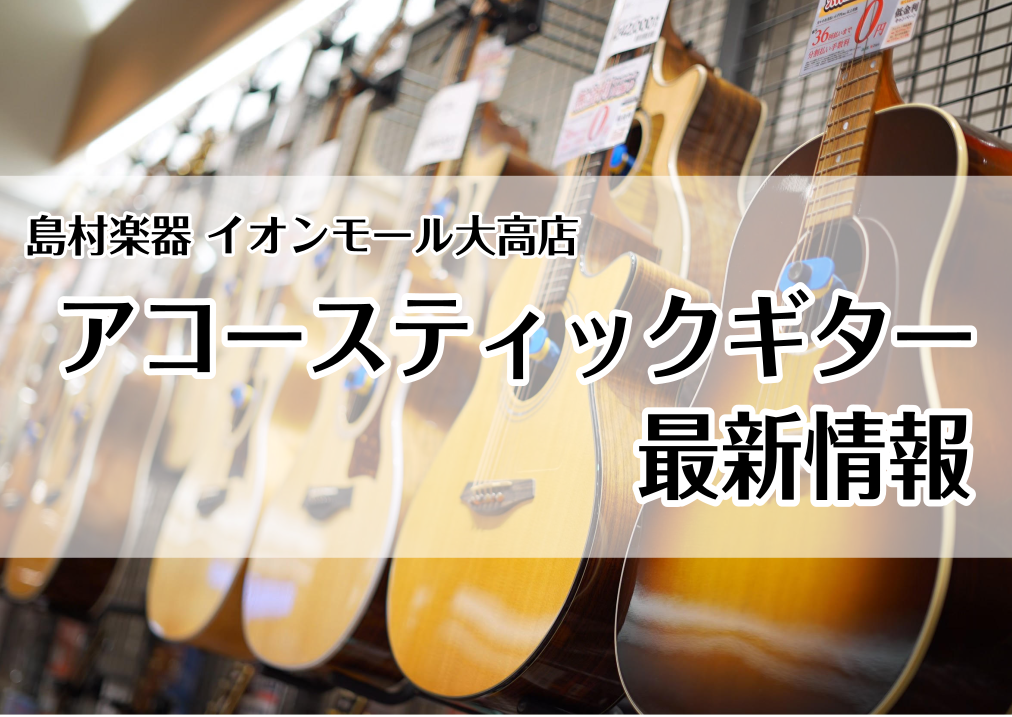 展示本数90本以上！大高店アコースティックギターの総合案内　-趣味を増やしてみませんか？？-