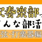 【吹奏楽部/中学生・高校生・大学生・保護者向け】吹奏楽部ってどんな部活？～弦・打楽器編～