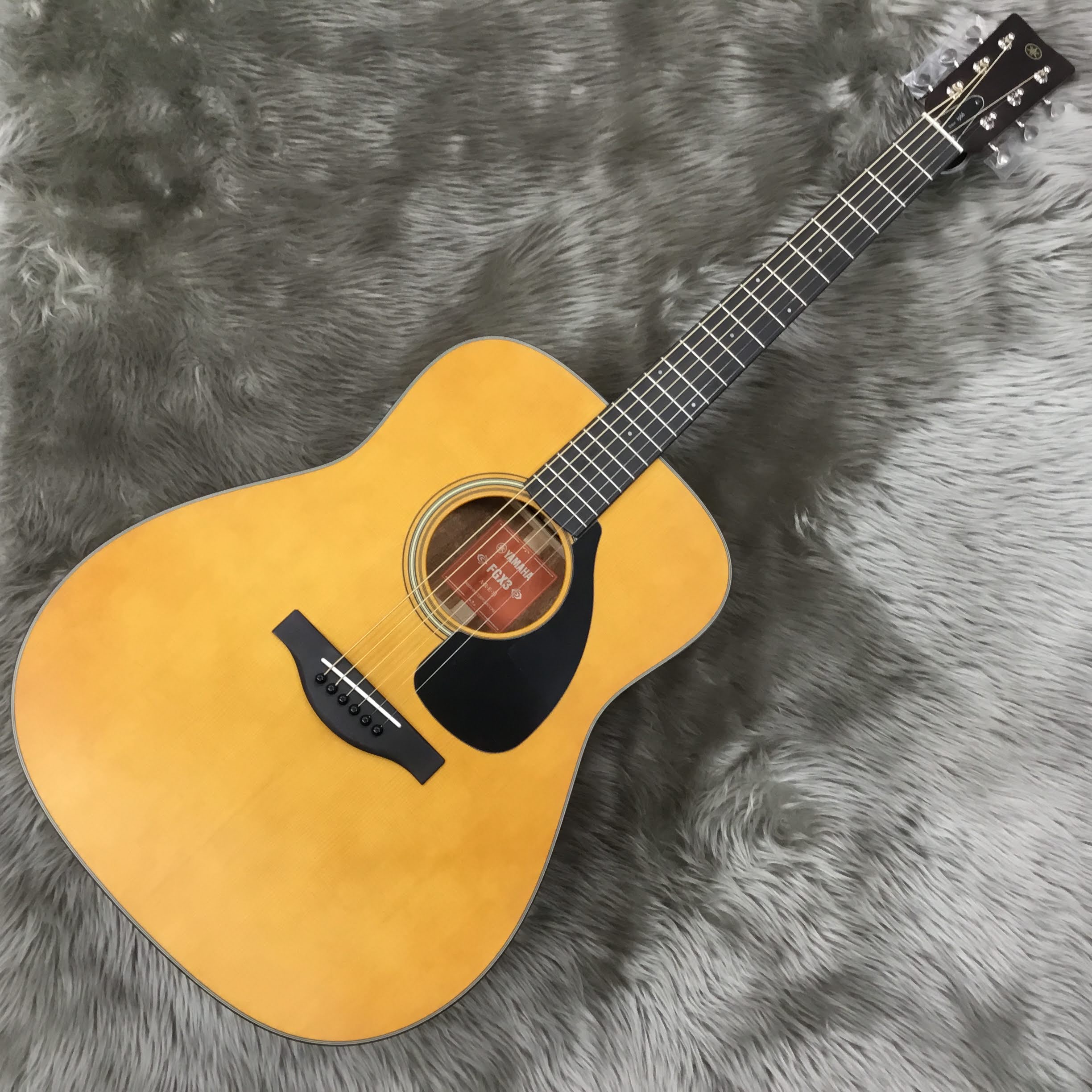 アコースティックギターFGX3