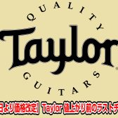 【7月1日より価格改定】Taylor (テイラー) 値上がり前のラストチャンス！