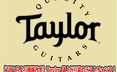 【7月1日より価格改定】Taylor (テイラー) 値上がり前のラストチャンス！