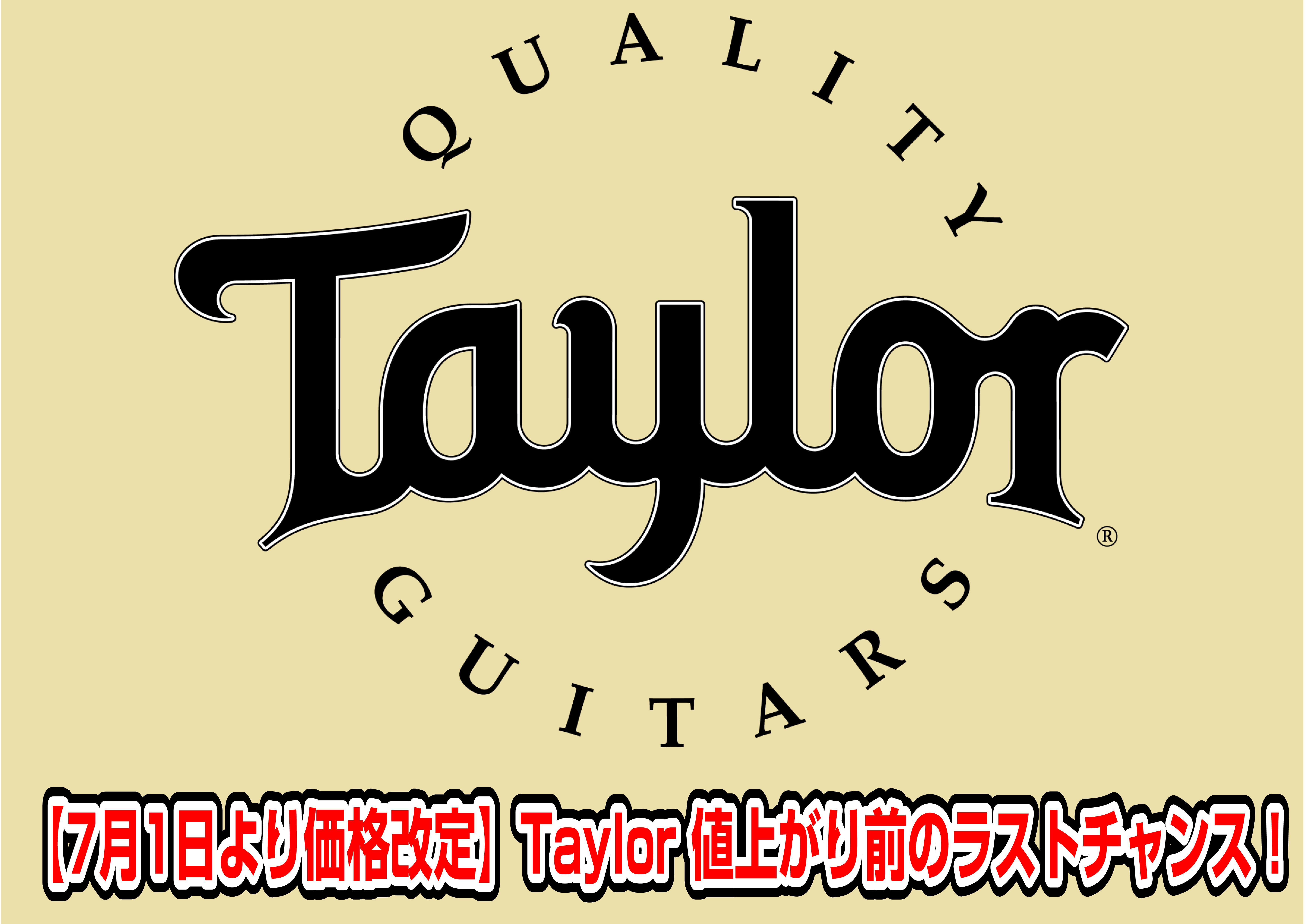 7月1日より価格改定】Taylor (テイラー) 値上がり前のラストチャンス