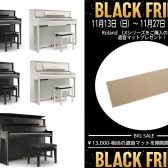 【BLACK FRIDAY】電子ピアノ専用遮音カーペットプレゼント!11/27(日)まで限定