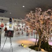 ディバイザー🌸桜ギター巡礼”春の陣”〜ギターで楽しむ桜の花見〜🌸潜入レポート！