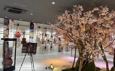 ディバイザー🌸桜ギター巡礼”春の陣”〜ギターで楽しむ桜の花見〜🌸潜入レポート！