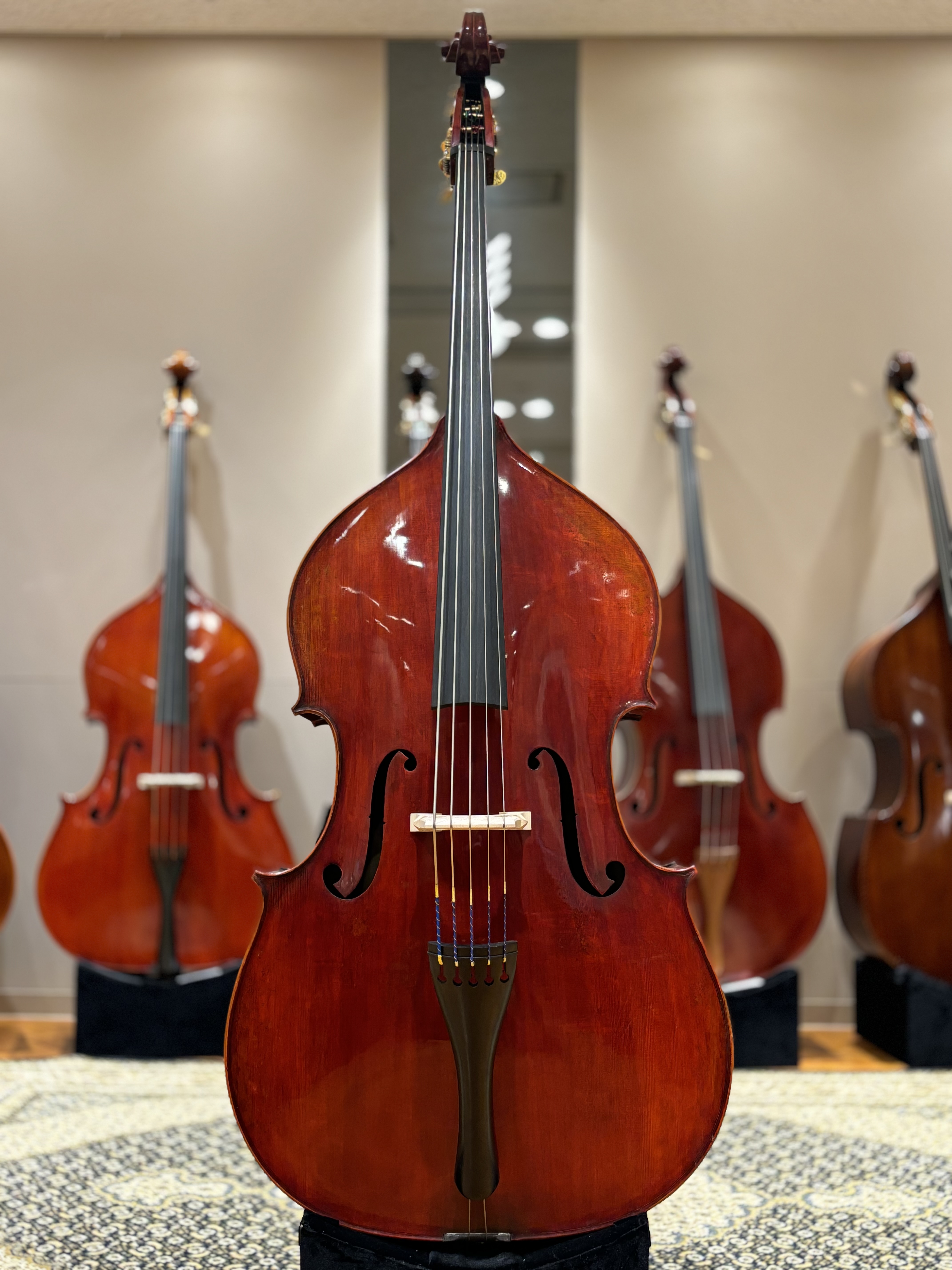 Eastman(イーストマン)VB501 "Jean-Pierre Lupot" 5st