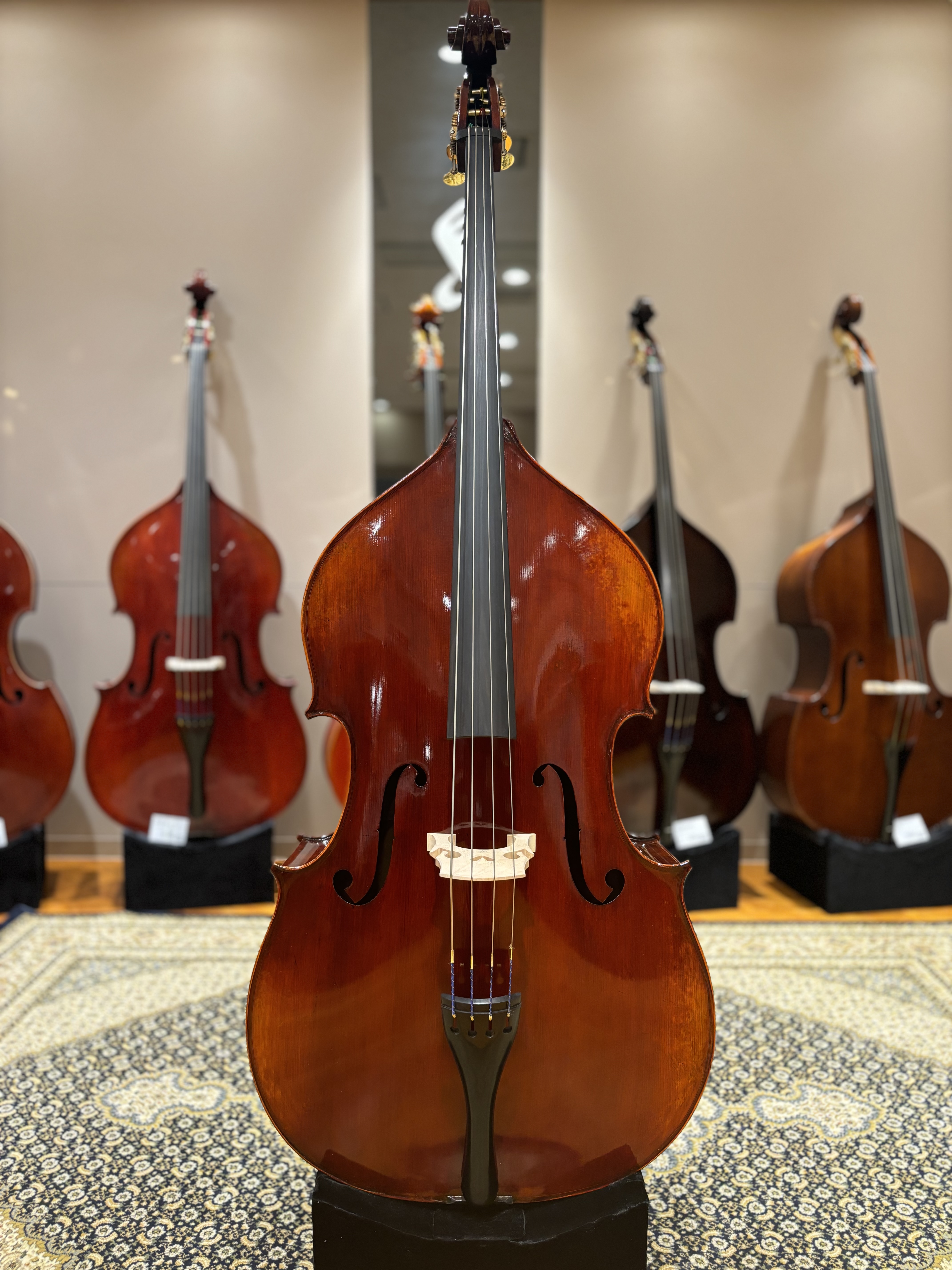 Eastman(イーストマン)VB501 "Jean-Pierre Lupot"