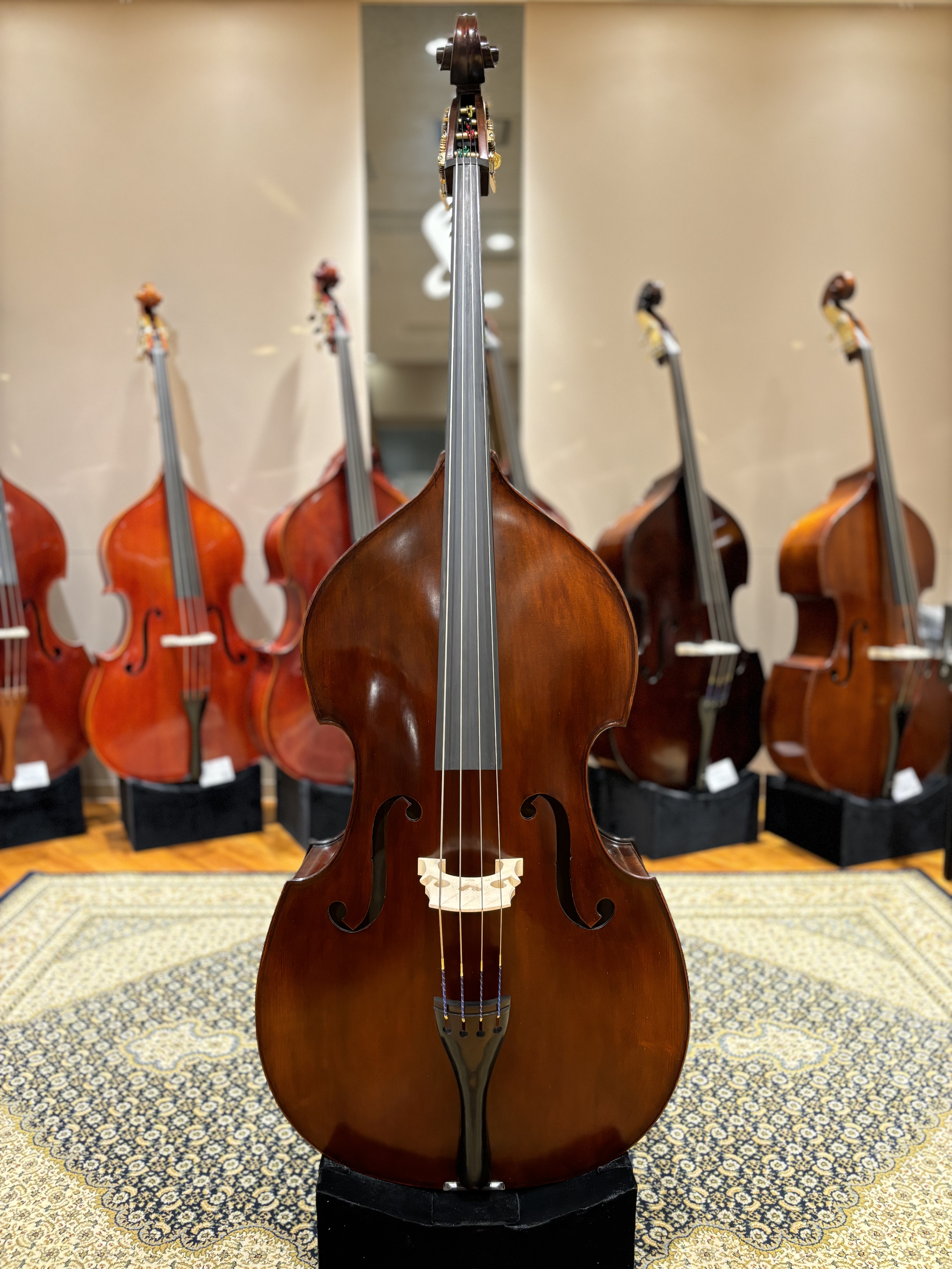 Eastman(イーストマン)VB-105G