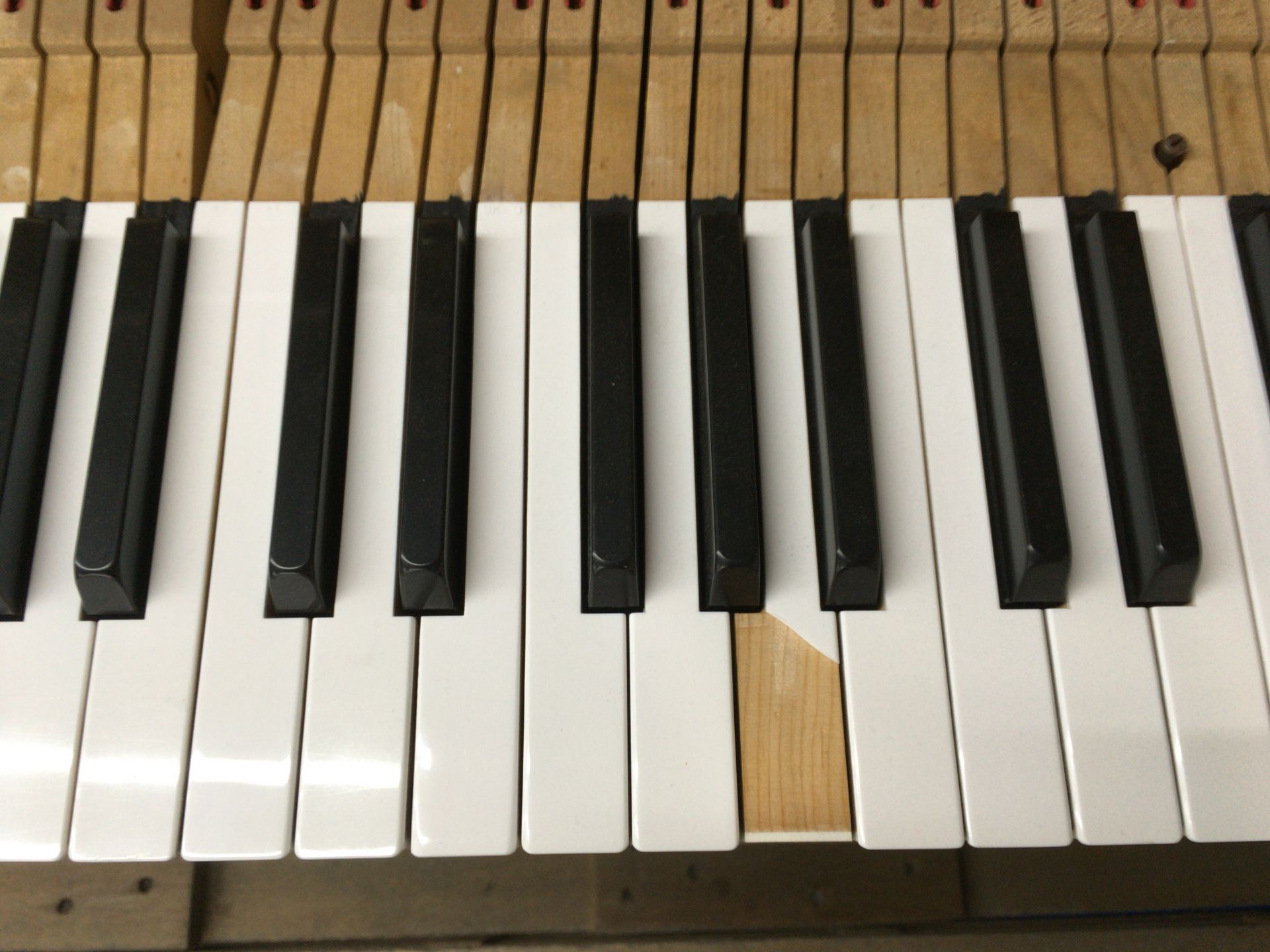 工房作業風景 白鍵の貼替修理をしました 島村楽器 ピアノセレクションセンター シマブロ