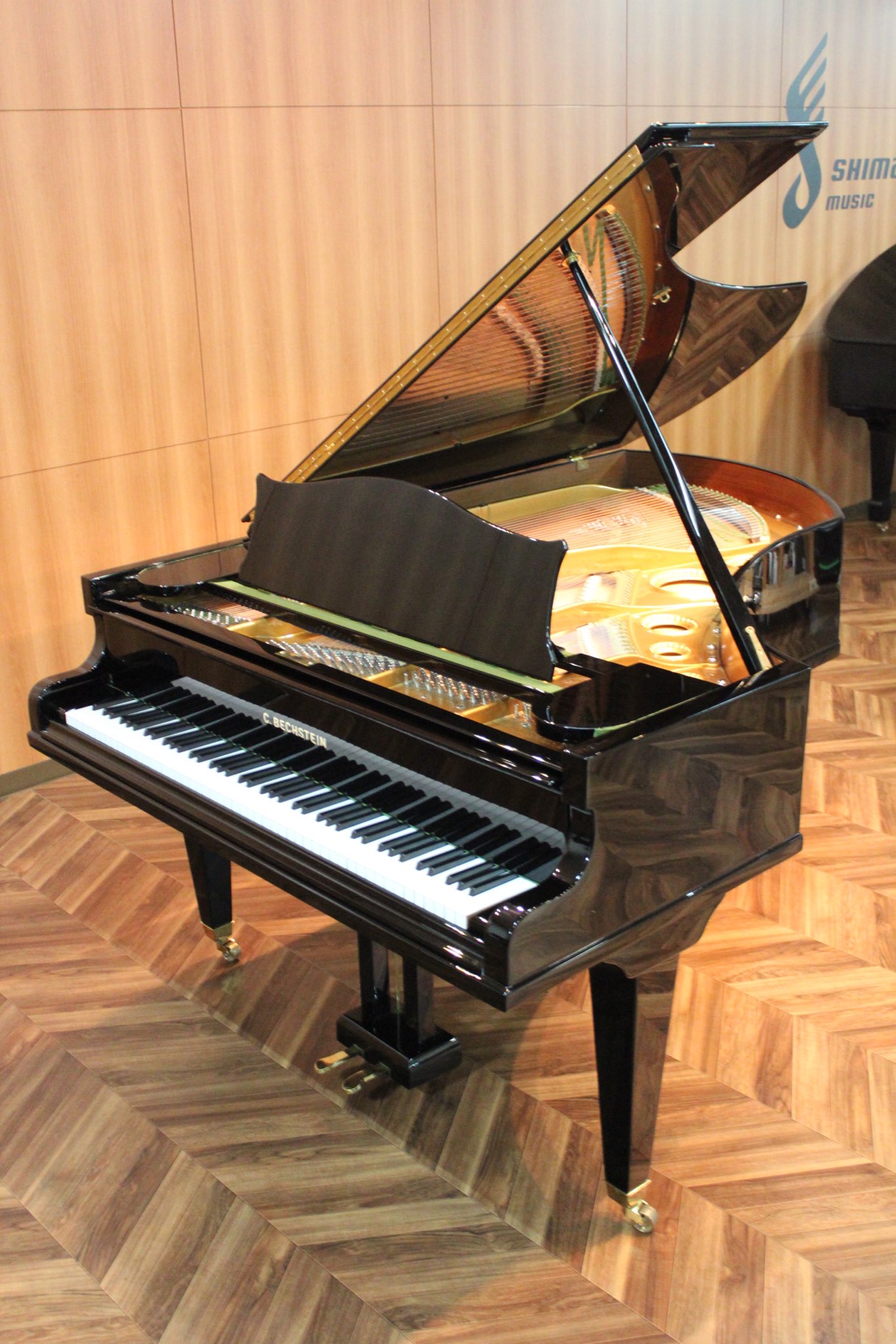 C.BECHSTEIN(ベヒシュタイン) V200　