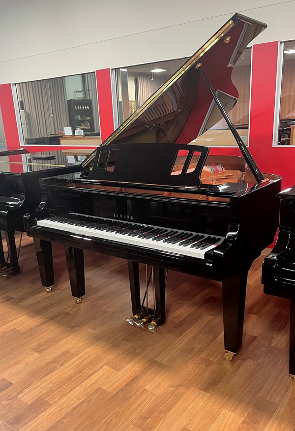 ヤマハ C3XespressivoC3Xespressivo 個体②