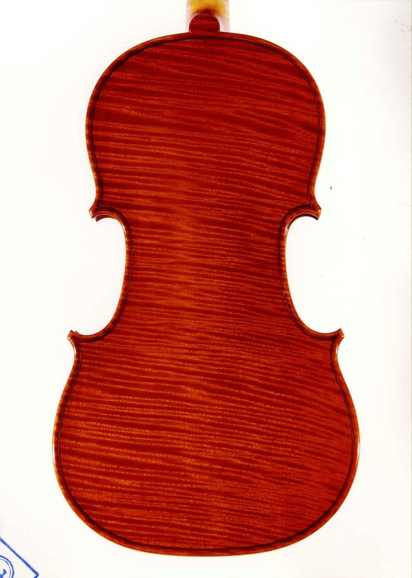 Nicola Lazzari, Italy – Cremona, 2017, Model; Antonio Stradivari 1703　ヴァイオリン　ニコラ・ラザーリ　イタリア-クレモナ
