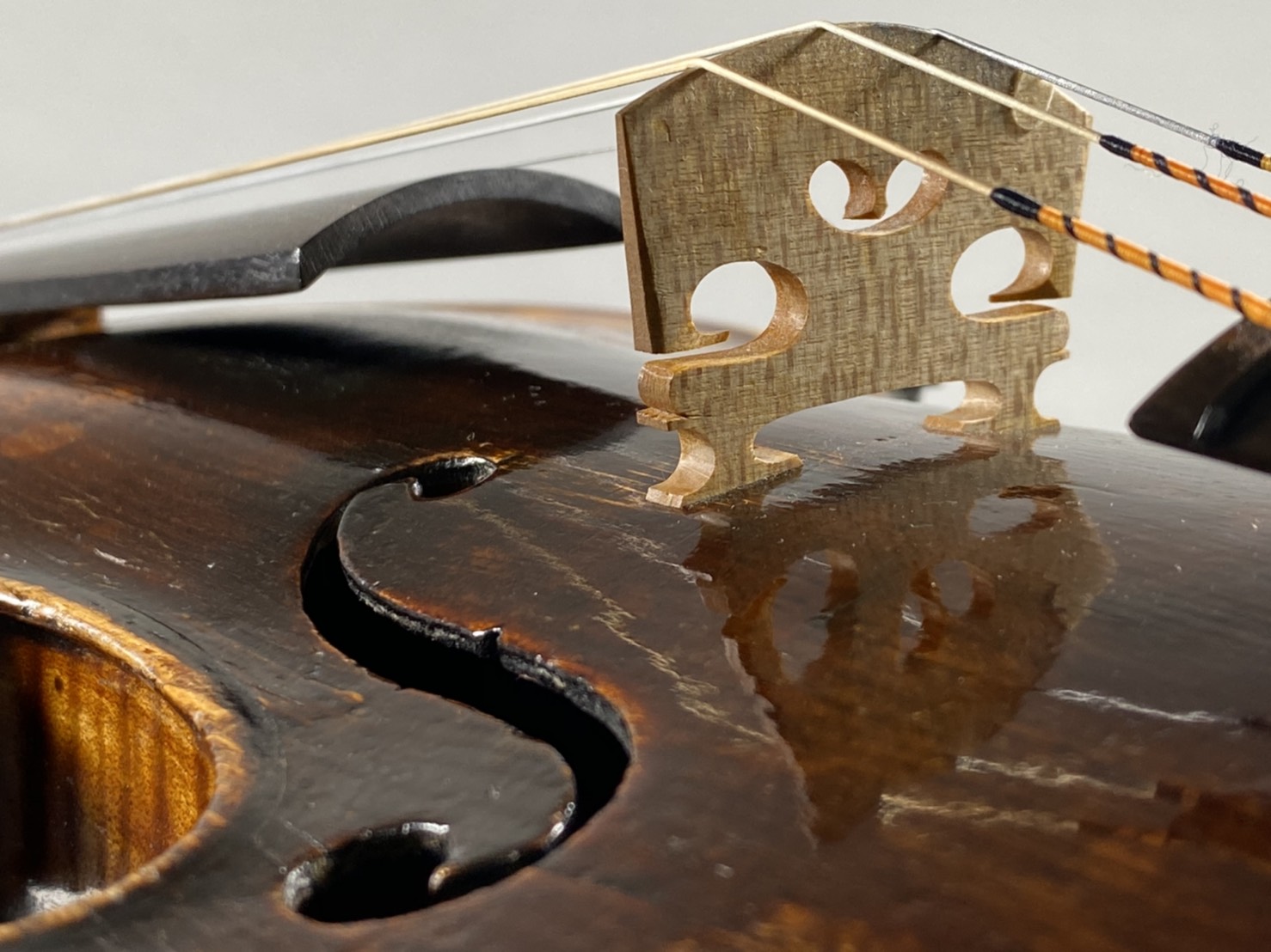 【店長ブログ】ウィーンのオールド・ヴァイオリンが入荷しました。