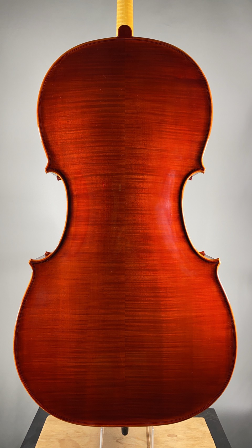 Satoru Fukawa（富川 智）No.203, Antonio Stradivari 1712 "Davidov"