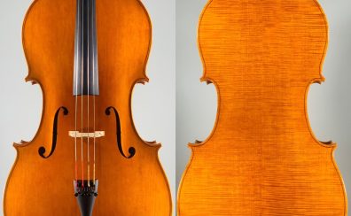＜Violoncello＞ Shinobu Sakamoto, Italy – Cremona, 2023, Model; Antonio Stradivari　チェロ　坂本忍（さかもと しのぶ）