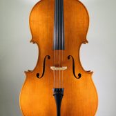 ＜Violoncello＞ Shinobu Sakamoto, Italy – Cremona, 2023, Model; Antonio Stradivari　チェロ　坂本忍（さかもと しのぶ）