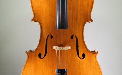 ＜Violoncello＞ Shinobu Sakamoto, Italy – Cremona, 2023, Model; Antonio Stradivari　チェロ　坂本忍（さかもと しのぶ）