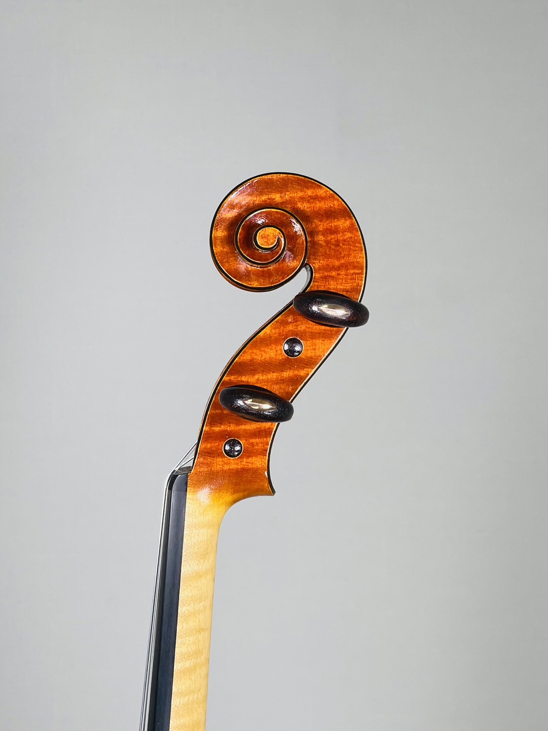 Model : Antonio Stradivarius 期待の若手製作家 大橋徹のストラディバリウスモデルのご紹介です。ニスの層やノミの削り跡などをあえて残し、手作業の風合いを表現しています。大橋氏の製作における大きなテーマである『馴染む』を体現した、よく響きそして溶け合う優しいサウンドをご堪能く […]