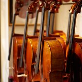 チェロ 展示楽器一覧　Violoncello Stock List