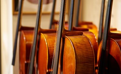 チェロ 展示楽器一覧　Violoncello Stock List
