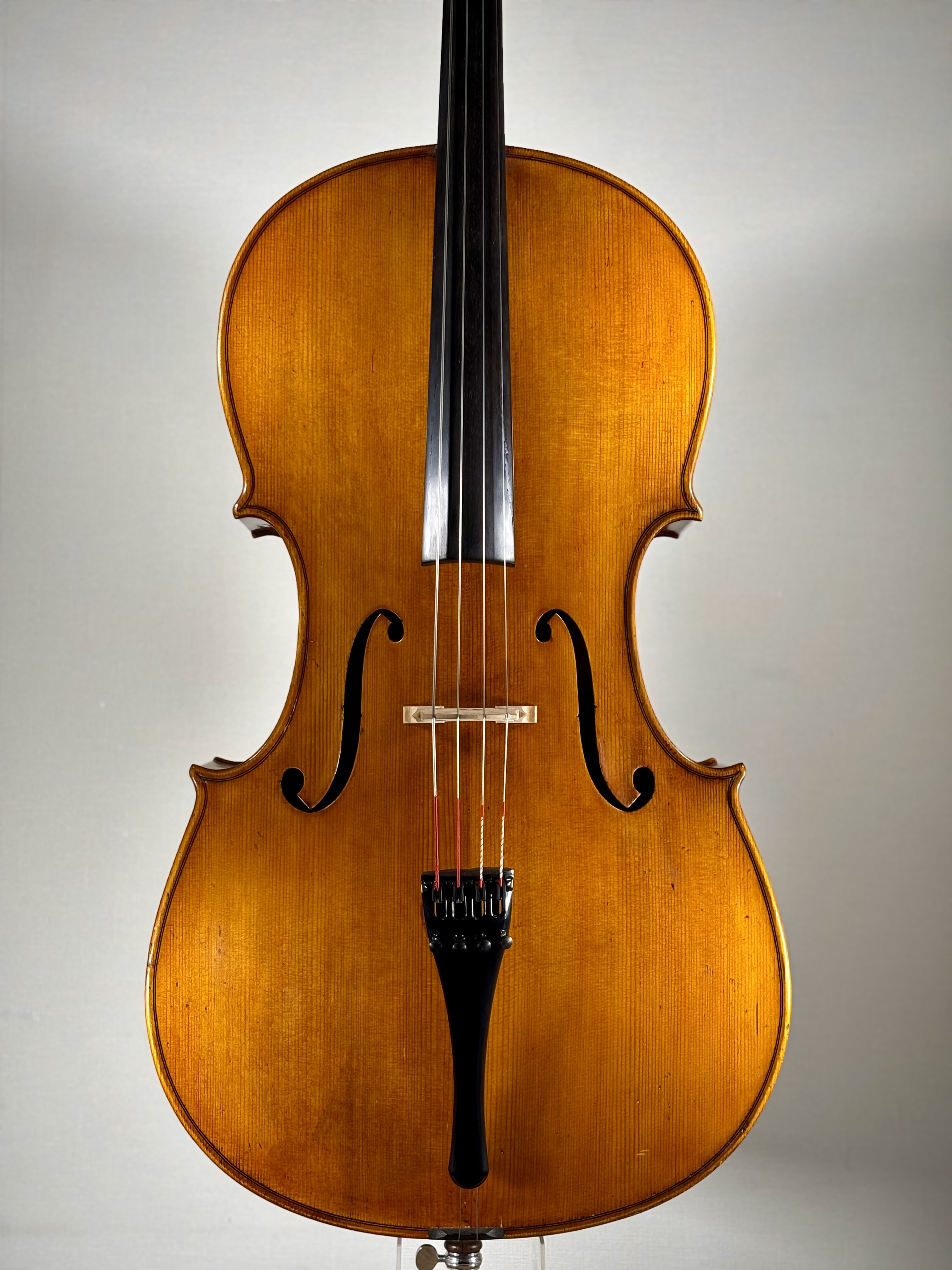 モダン・ジャーマン・チェロ ／ ラベル：ジュゼッペ・ルッチModern German Cello ／ Label; Giuseppe Lucci