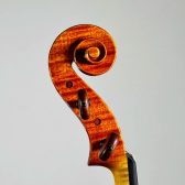 ＜Viola＞ Teppei Fujita, Japan – Tokyo, 2025　ヴィオラ　藤田鉄平