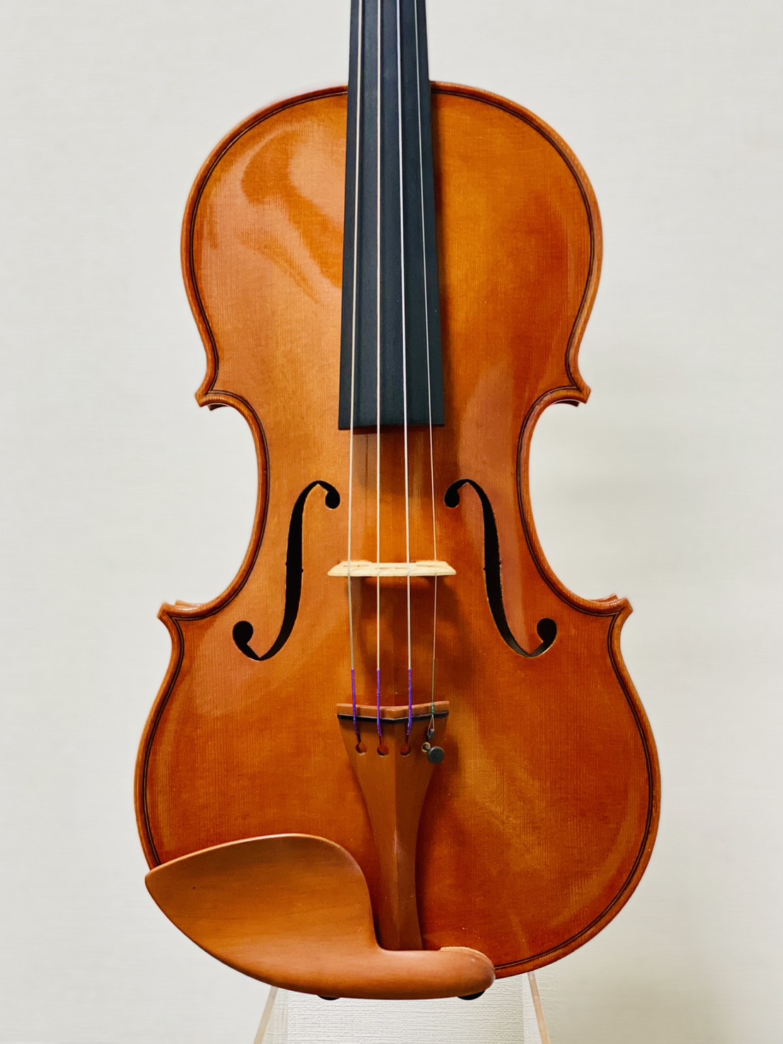 弦楽器フェスタ＠水戸奏楽堂 2026年1月10日（土） – 1月12日（月祝