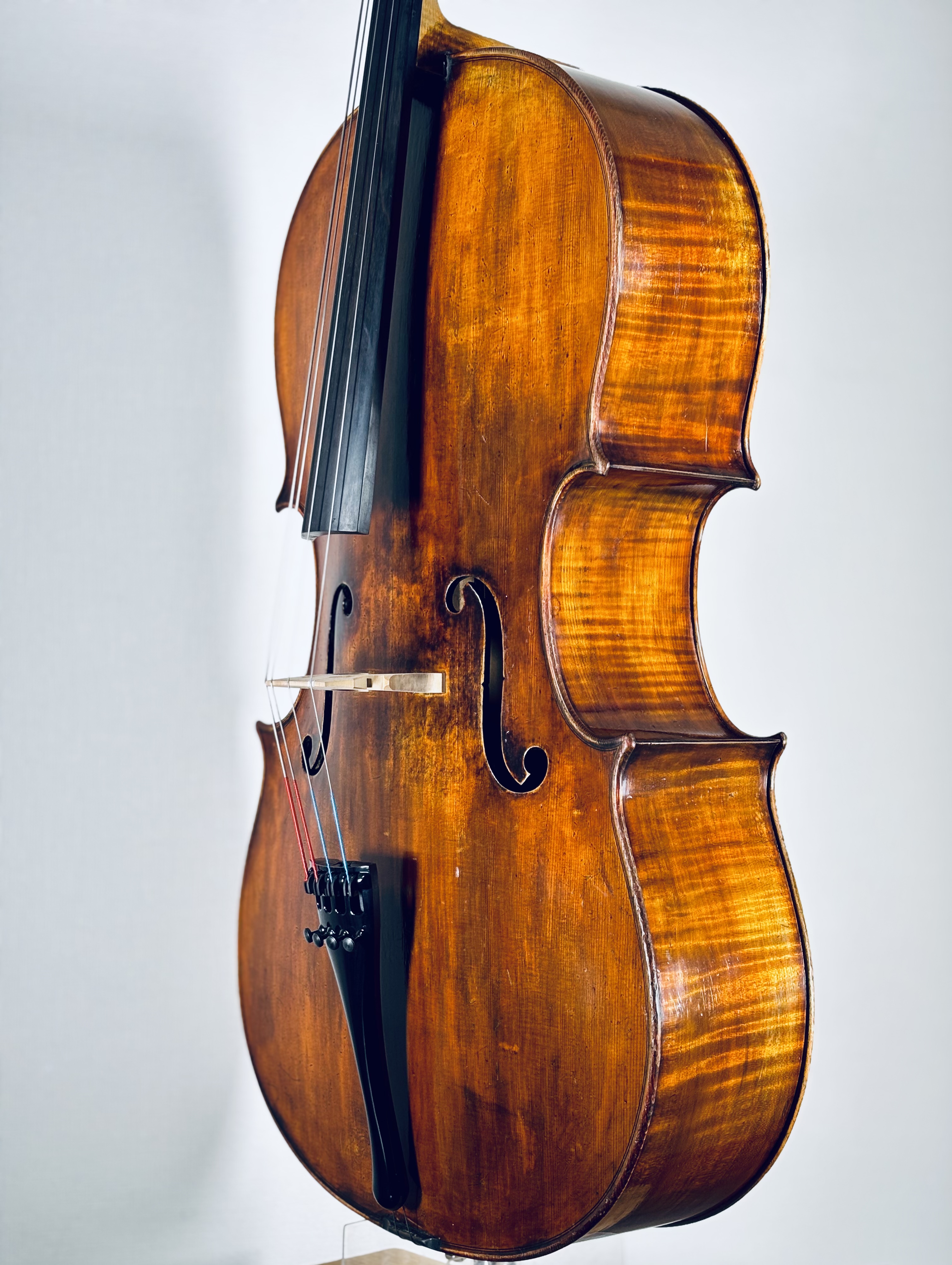 ハンガリアン・スクールHungarian School