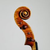 Gino Sfarra, Italy – L’Aquila, 2026　ヴァイオリン　ジーノ・スファッラ