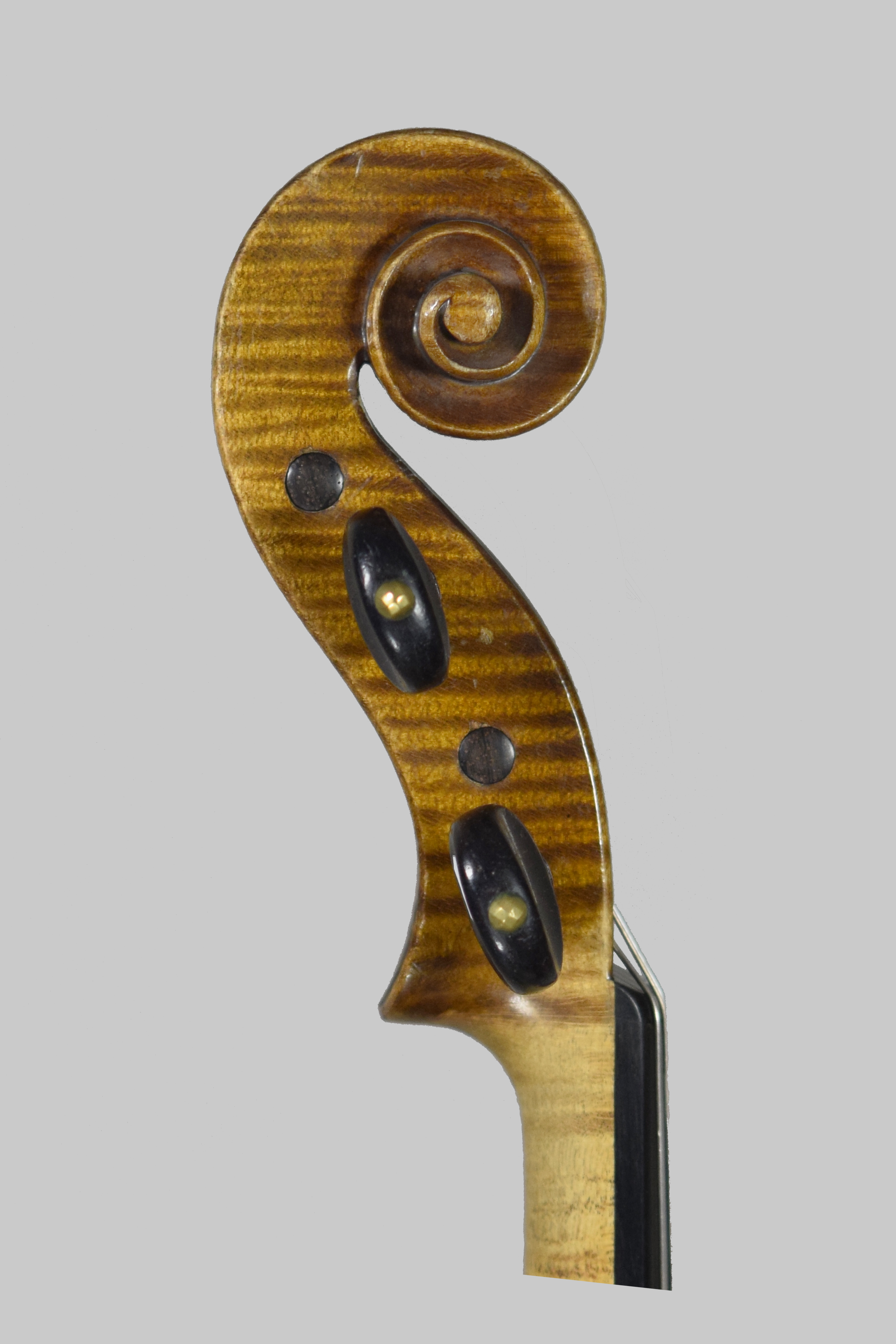 Amédée Dieudonné 1890年生まれ。名門弓メーカー：Charles Nicolas Bazin（シャルル・ニコラ・バザン）の息子：Gustav Bazin（ギュスターヴ・バザン）の門下でその才能を開花させました。若き日にブリュッセルのHilaire Darche（イレール・ダルシュ） [&hellip;]