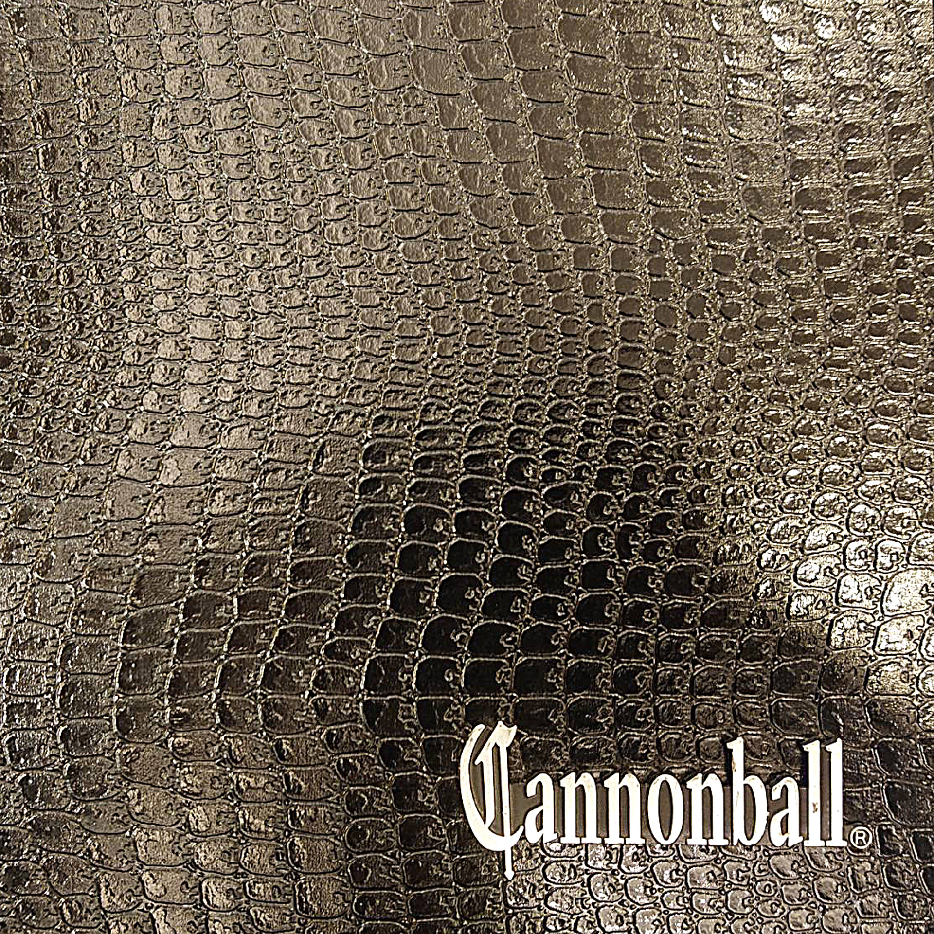 Cannonboll　ケース