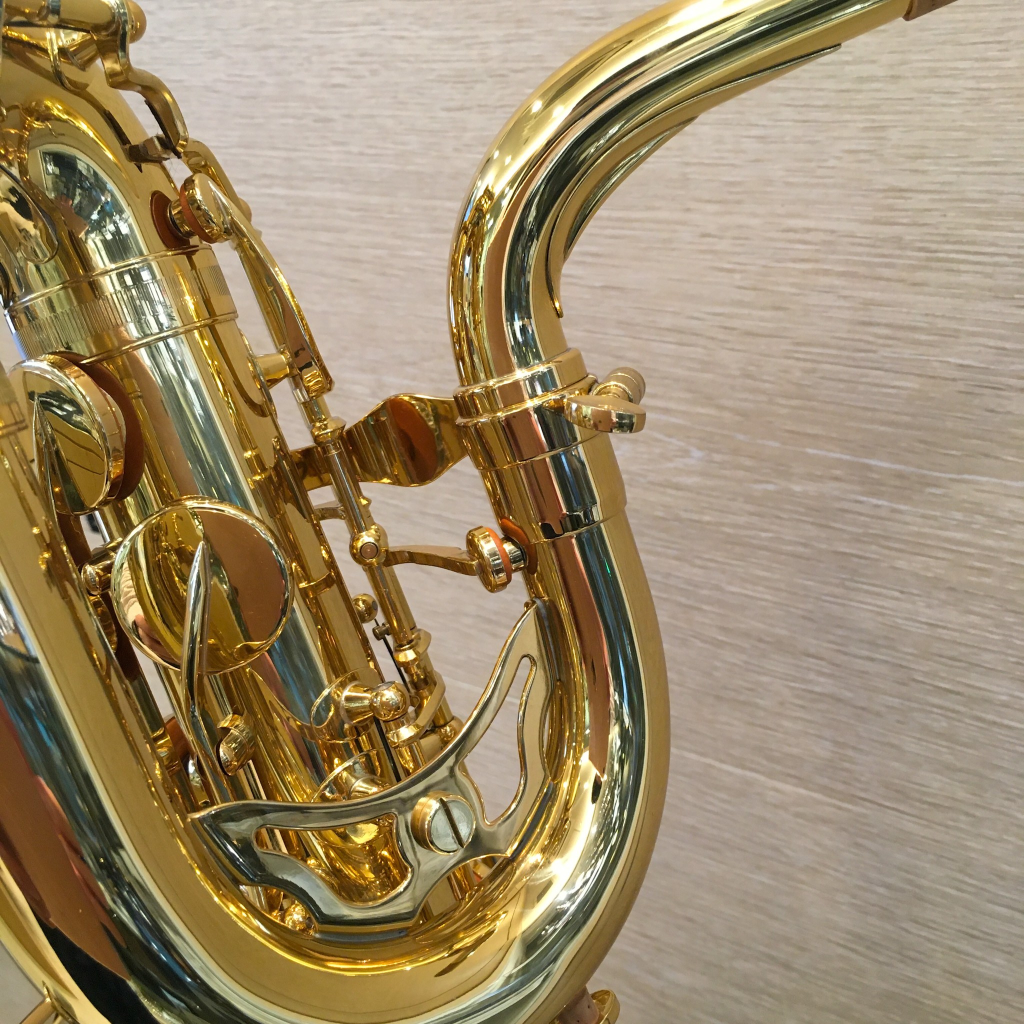 YANAGISAWA　B901R