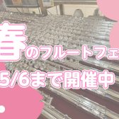 春のフルートフェアGWまで開催中！