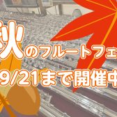 【～9/22まで】秋のフルートフェア開催中！🍂