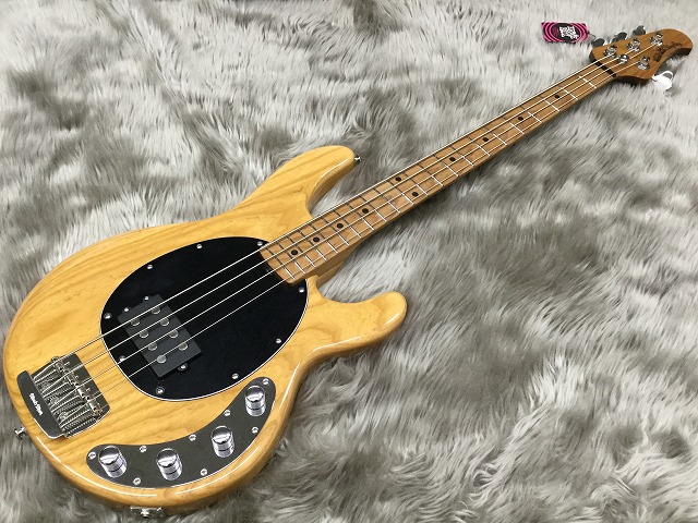 島村楽器　利府　エレキベース　MUSICMAN　スティングレイ