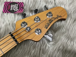 島村楽器　利府　エレキベース　MUSICMAN　スティングレイ