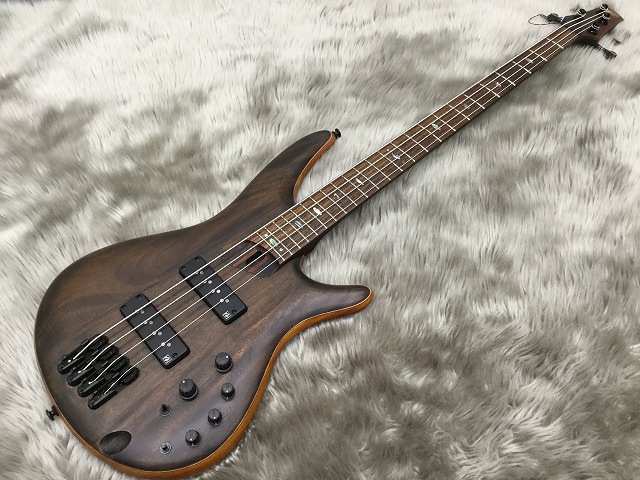 島村楽器　宮城　利府　エレキベース　Ibanez